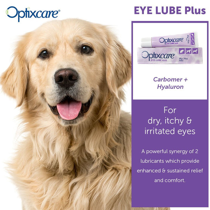 Optixcare Eye Lube Plus, 20gm - 006AAH-04252 - Clear - Unflavored - 20 gm - 6