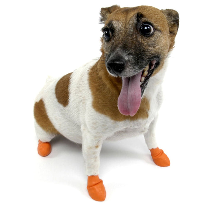 PawZ Waterproof Dog Boots – Disposable, Reusable, Non - Slip Paw Protectors, 12 Pack - PDBAJ - X - Small (2" L) - Black - 5