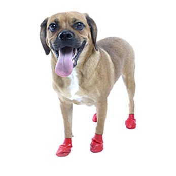 PawZ Waterproof Dog Boots – Disposable, Reusable, Non - Slip Paw Protectors, 12 Pack - PDBAJ - X - Small (2" L) - Black - 6
