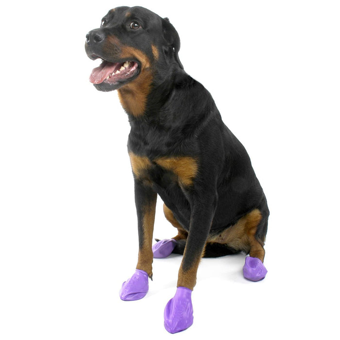 PawZ Waterproof Dog Boots – Disposable, Reusable, Non - Slip Paw Protectors, 12 Pack - PDBAF - Large (4" L) - Purple - 8