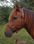 Perri's Leather Horse Halter and Lead - DYA1 - Halter - 1" Oversize - Brown - 1