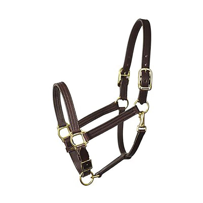 Perri's Leather Horse Halter and Lead - DYA4 - Lead - 1" Lead - Brown - 3