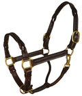 Perri's Twisted Leather Halter - DYAAB - Havana - Cob - 1