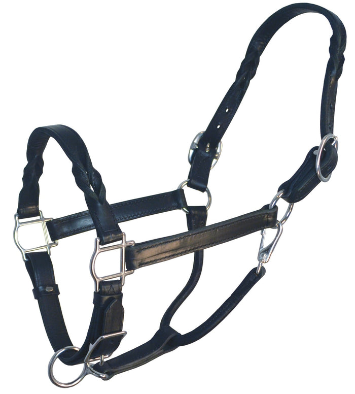 Perri's Twisted Leather Halter - DYAAB - Havana - Cob - 3