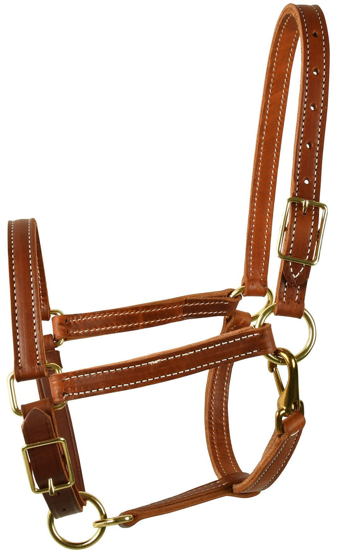 Perri's Value Leather Horse Halter, Chestnut - DYAAI - Cob - 2
