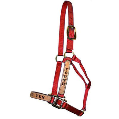 Personalized Nylon Halter, Standard (800 - 1100 lb) by Supreme Western - S8T3 - Red - 4