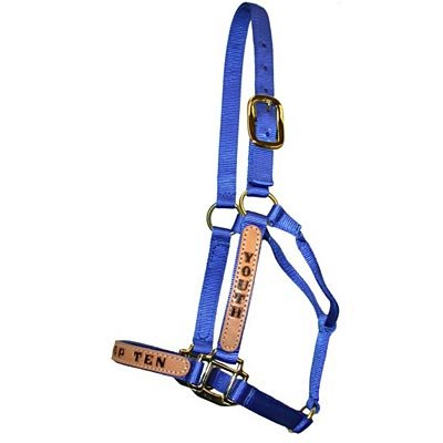 Personalized Nylon Halter, Standard (800 - 1100 lb) by Supreme Western - S8T5 - Blue - 6
