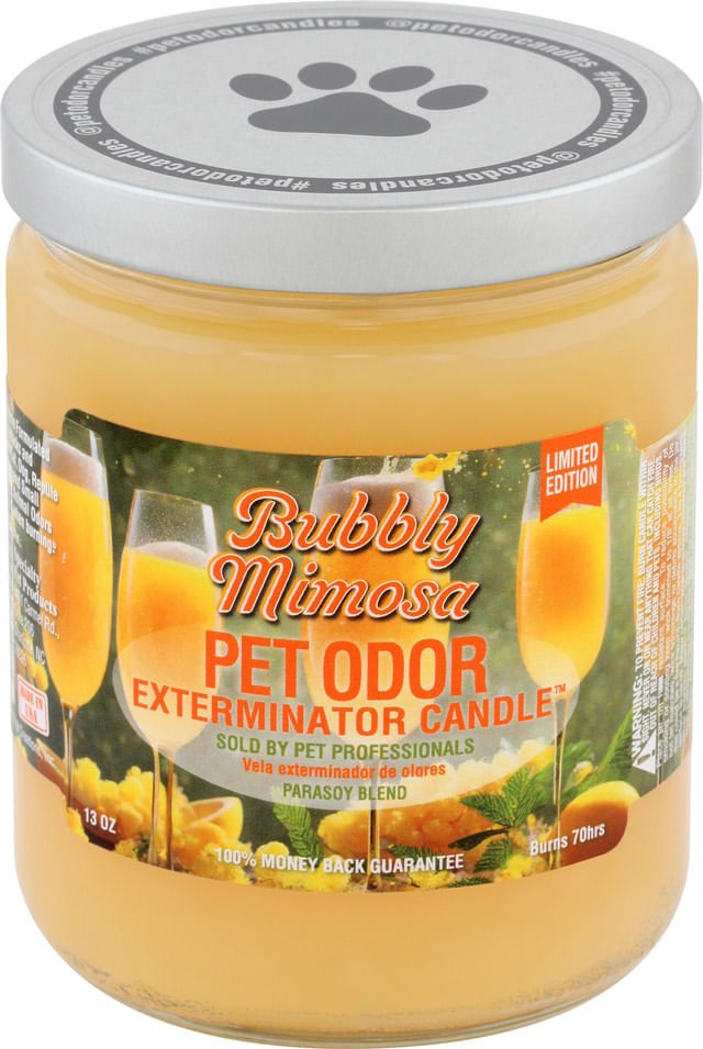 Bubbly Mimosa (Limited Edition) / 13 oz