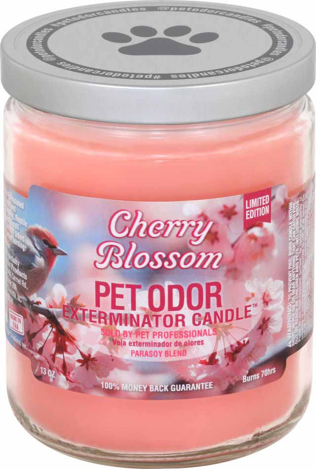 Cherry Blossom (Limited Edition) / 13 oz