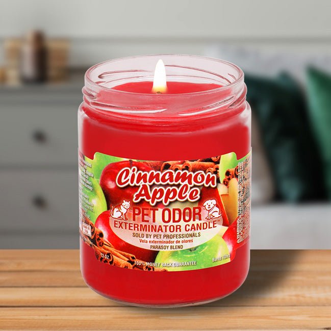 Pet Odor Exterminator Candle – Enzyme - Based Odor Eliminating Candle Safe for Pets - SPTAL - Cinnamon Apple - 13 oz - 2