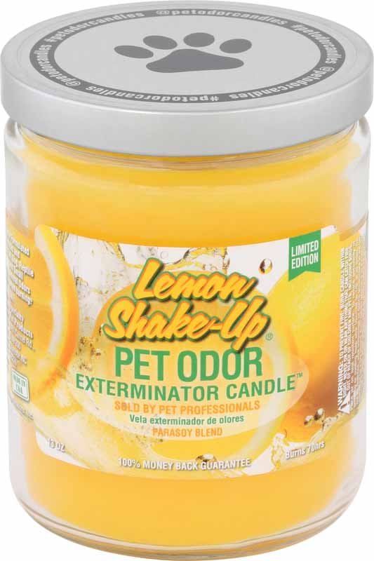 Lemon Shake-Up (Limited Edition) / 13 oz