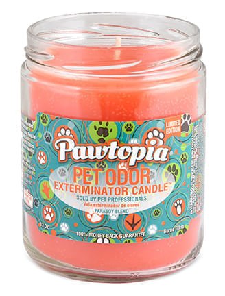 Pawtopia (Limited Edition) / 13 oz