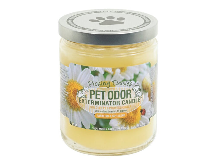Picking Daisy / 13 oz