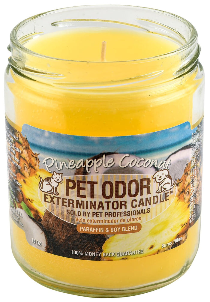 Pineapple Coconut / 13 oz