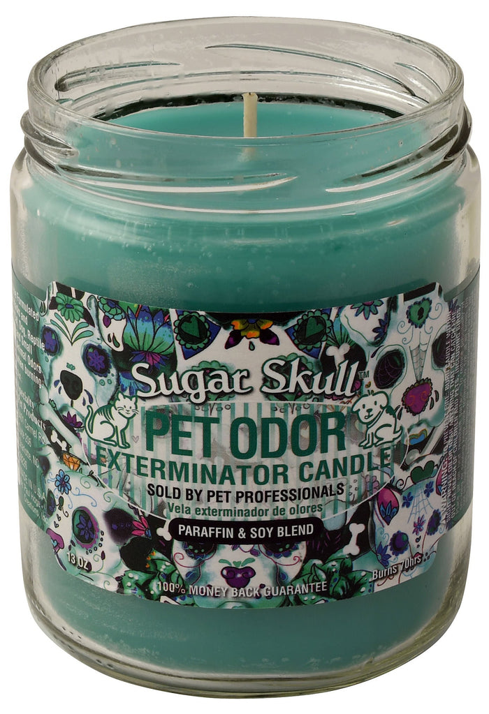 Sugar Skull / 13 oz