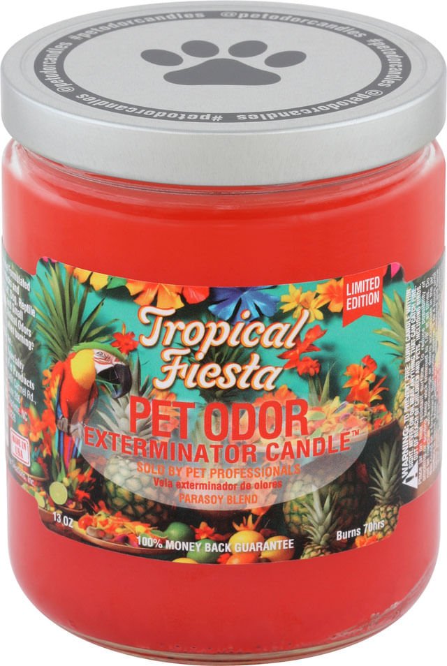Tropical Fiesta (Limited Edition) / 13 oz