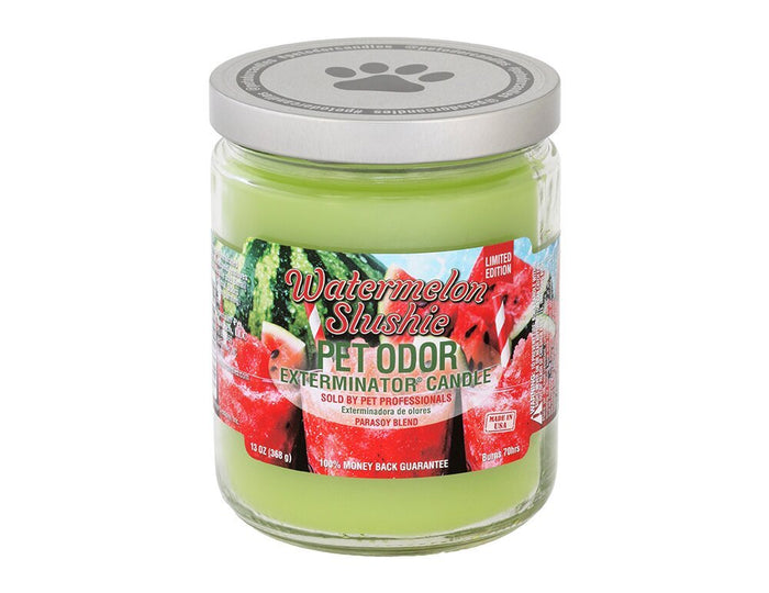 Watermelon Slushie (Limited Edition) / 13 oz