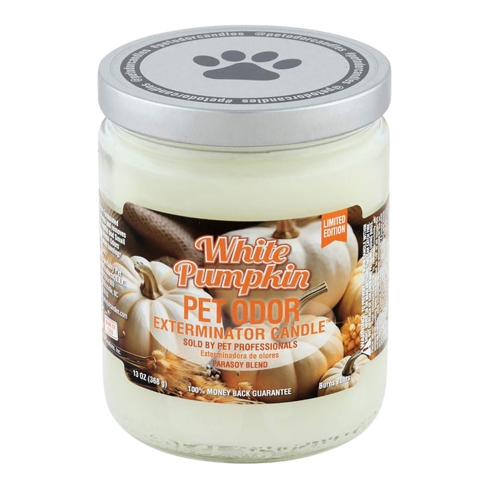 White Pumpkin (Limited Edition) / 13 oz