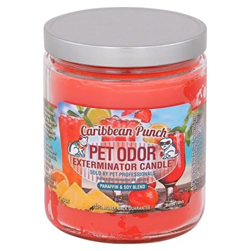 Caribbean Punch / 13 oz