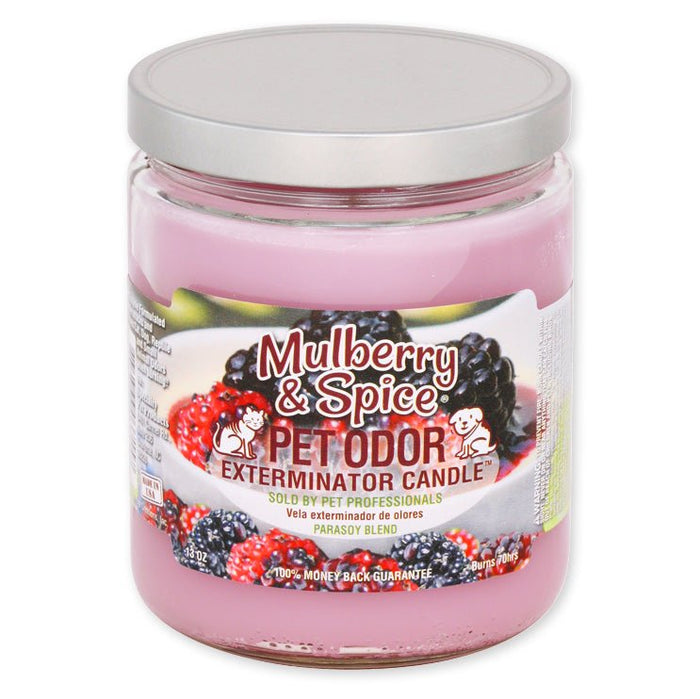 Mulberry & Spice / 13 oz