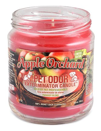 Apple Orchard (Limited Edition) / 13 oz