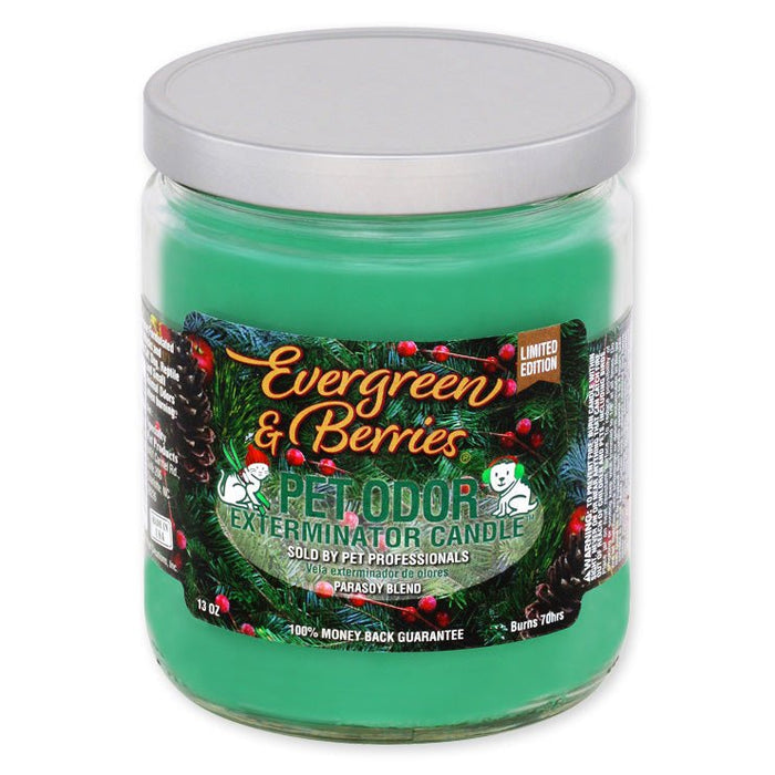 Evergreen & Berries (Limited Edition) / 13 oz