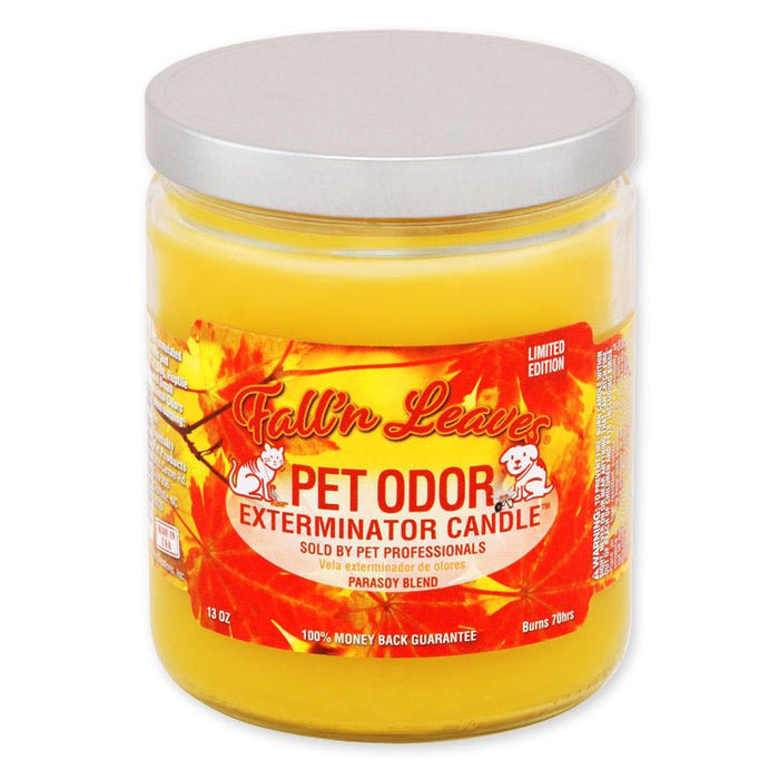 Fall N Leaves (Limited Edition) / 13 oz