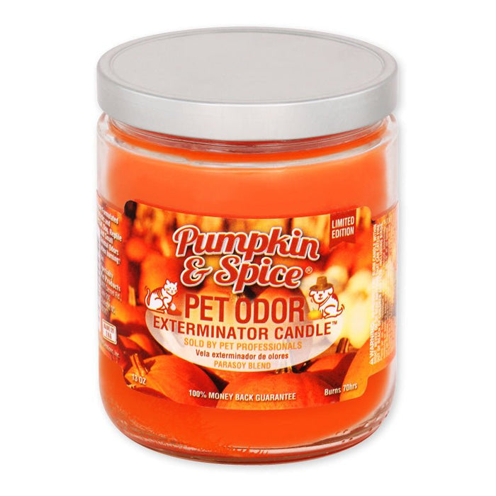 Pumpkin & Spice (Limited Edition) / 13 oz