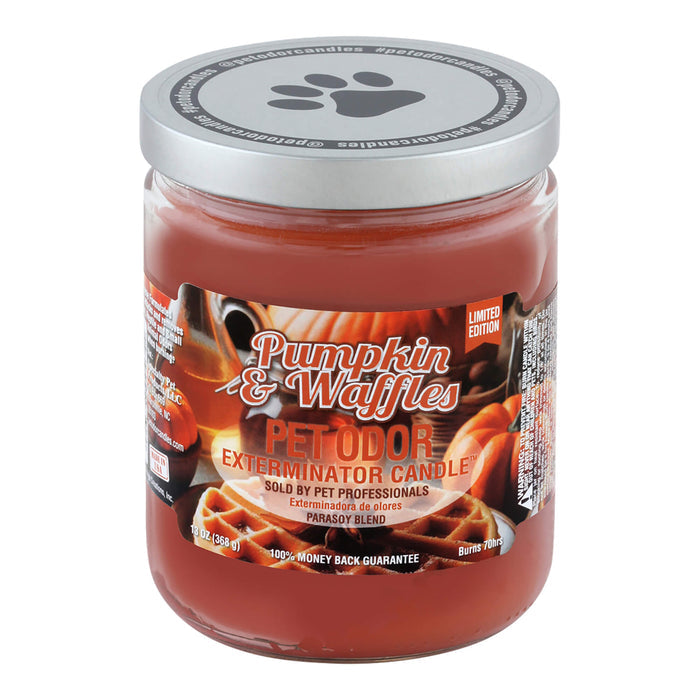 Pumpkin & Waffles (Limited Edition) / 13 oz