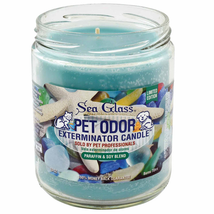 Sea Glass (Limited Edition) / 13 oz
