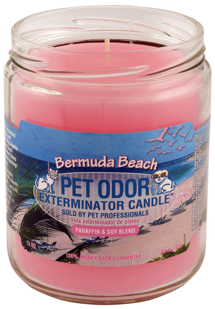Bermuda Beach (Limited Edition) / 13 oz