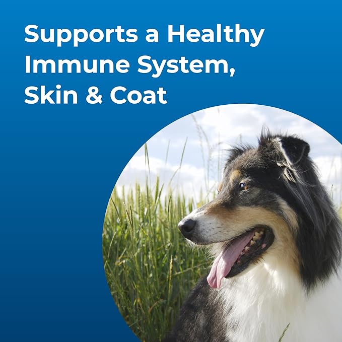 Dyne High Calorie Liquid Nutritional Supplement for Dogs - PAD0 - 16 oz - 5
