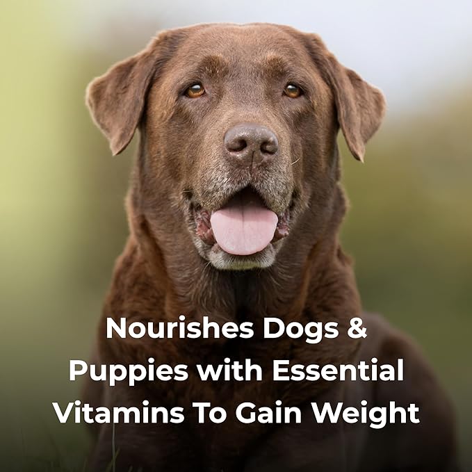 Dyne High Calorie Liquid Nutritional Supplement for Dogs - PAD0 - 16 oz - 6
