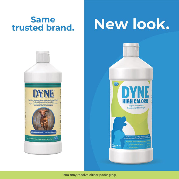 Dyne High Calorie Liquid Nutritional Supplement for Dogs - PAD0 - 16 oz - 7