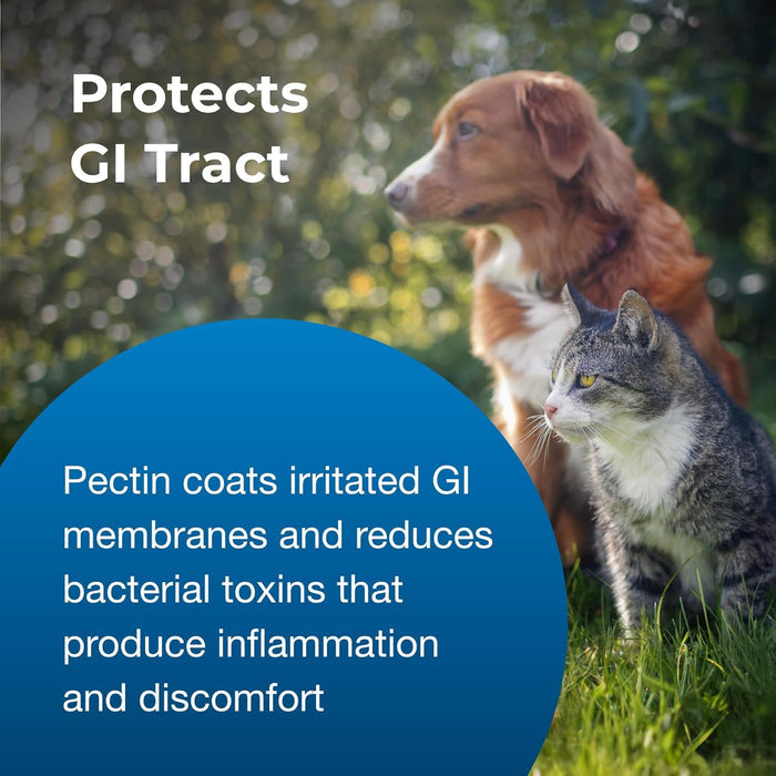 PET Pectillin, 4 oz – Diarrhea Relief for Cats and Dogs with Pectin & Kaolin - B7ZL - Vanilla - 4 oz - 3