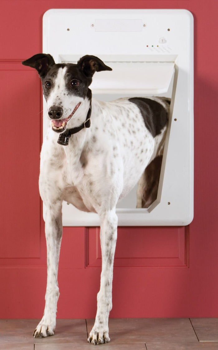 PetSafe Electronic Smart Dog Door - RPE3 - PetSafe Electronic SmartDoor, Large - 1