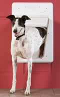 PetSafe Electronic Smart Dog Door - RPE3 - PetSafe Electronic SmartDoor, Large - 1