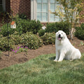 PetSafe Outdoor Dog Barking Control - RPAB - 1