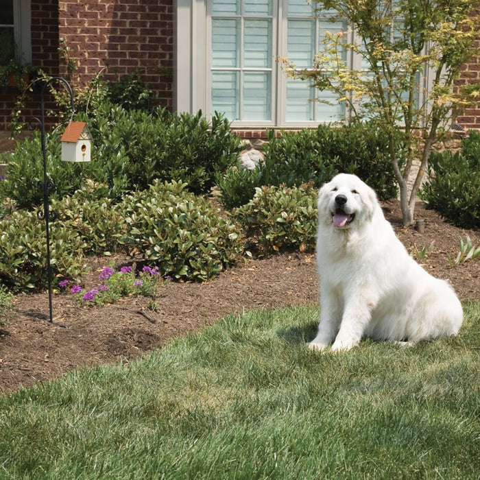 PetSafe Outdoor Dog Barking Control - RPAB - 1