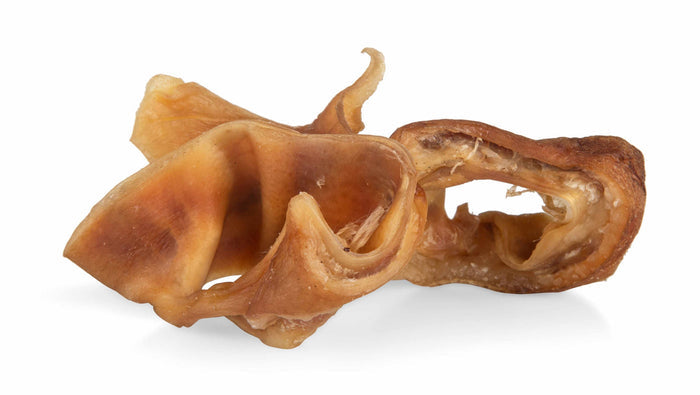Pig Ear Snacks, 8 oz - 4GAA - 1