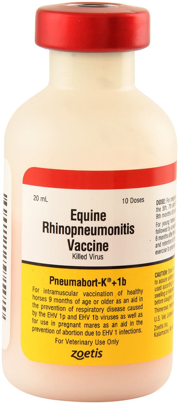 Pneumabort K +1b Vaccine for Horses - F7P7 - 10 Dose - 3