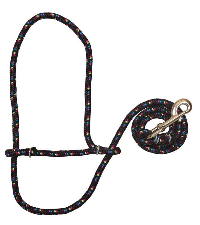 Poly Rope Sheep Halter/Lead with Snap, 52" - WEA6D - Black/Pink/Purple/Blue/Lime - 1