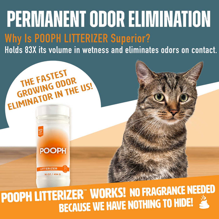 Pooph Litterizer, 16 oz - PH2D - 16 oz - 2