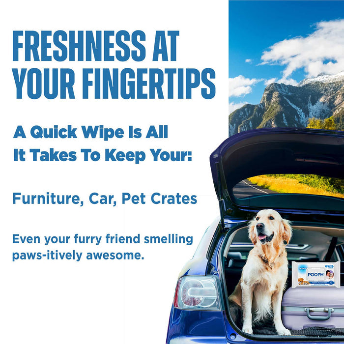 Pooph Pet Wipes Pack, 50 ct - PH2F - 50 ct - 5