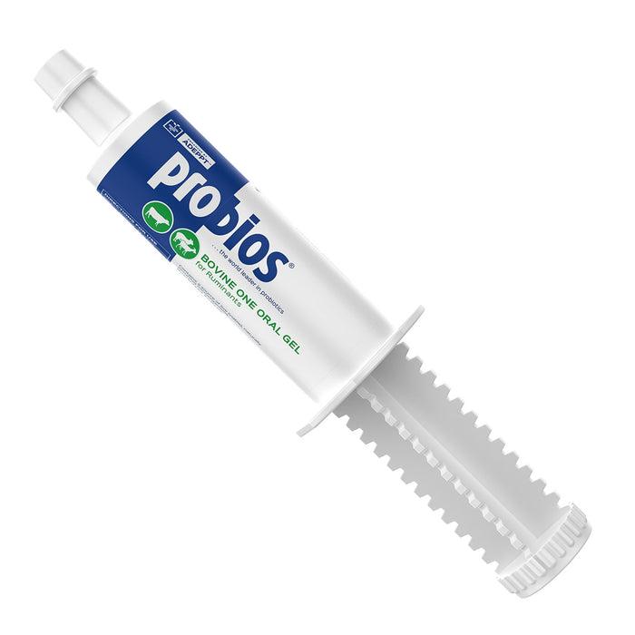 Probios Bovine One Gel - PNP1 - 60 g - Single Pack - 1