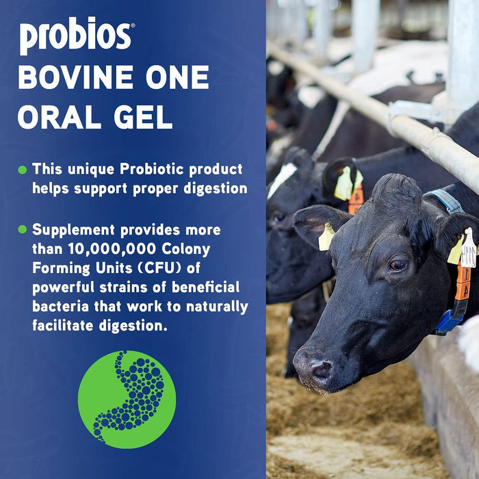 Probios Bovine One Gel - PNP1 - 60 g - Single Pack - 4