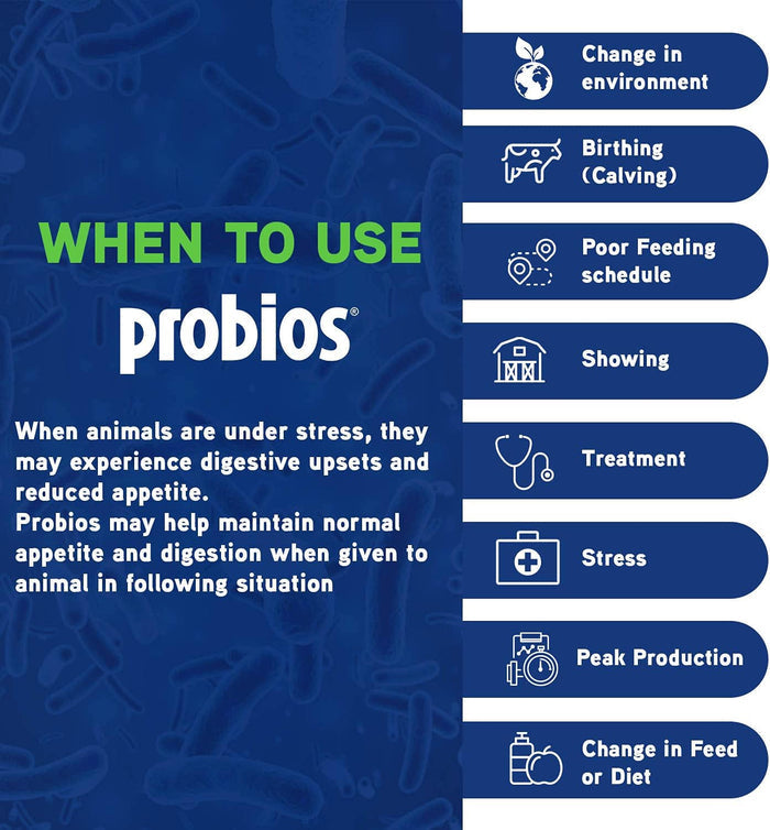 Probios Bovine One Gel - PNP1 - 60 g - Single Pack - 5