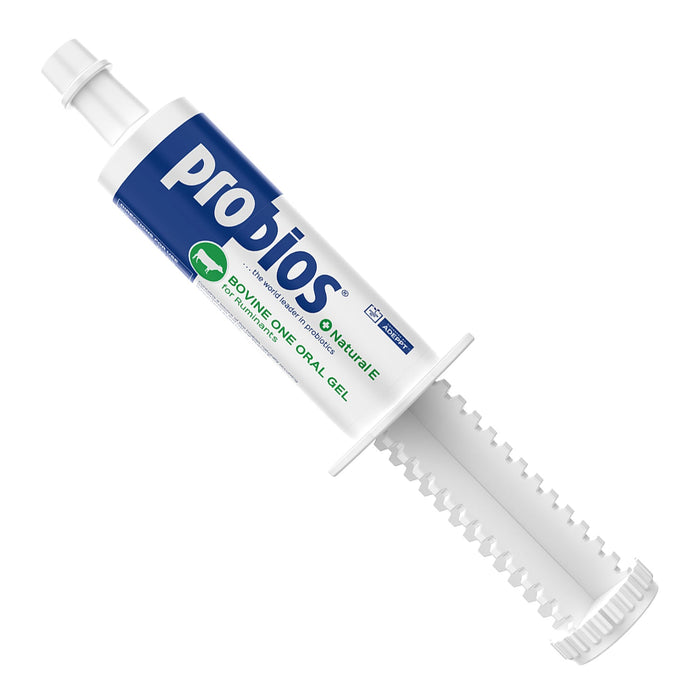 Probios Bovine One Plus Natural E - PNPB - 60 g - Single Pack - 1