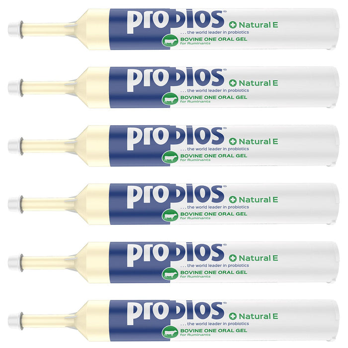 Probios Bovine One Plus Natural E - PNPC-6 - 300 g - 6 Pack - 7
