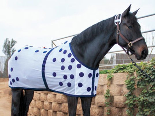Professional's Choice Dura - Tech Magnetic Horse Therapy Sheet - PL1X1 - Sz 70 - 1